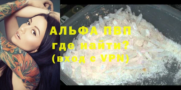 спайс Баксан