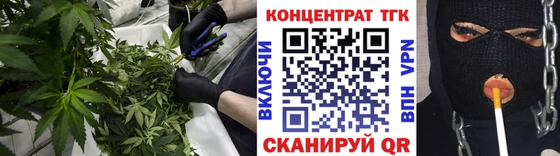 ТГК жижа  закладки  Шадринск 
