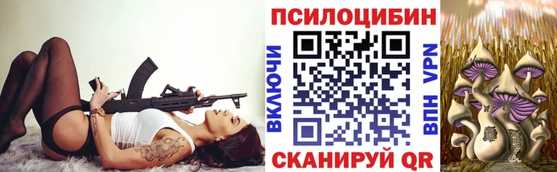 Псилоцибиновые грибы Cubensis  Шадринск 